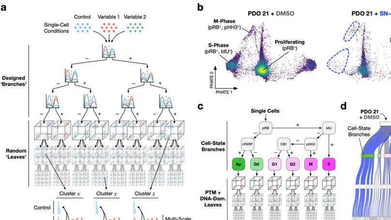 Trellis tree-based analysis reveals stromal regulation of patient-derived organoid drug responses